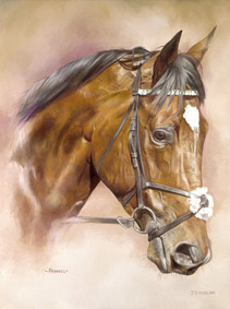 Frankel Head Study